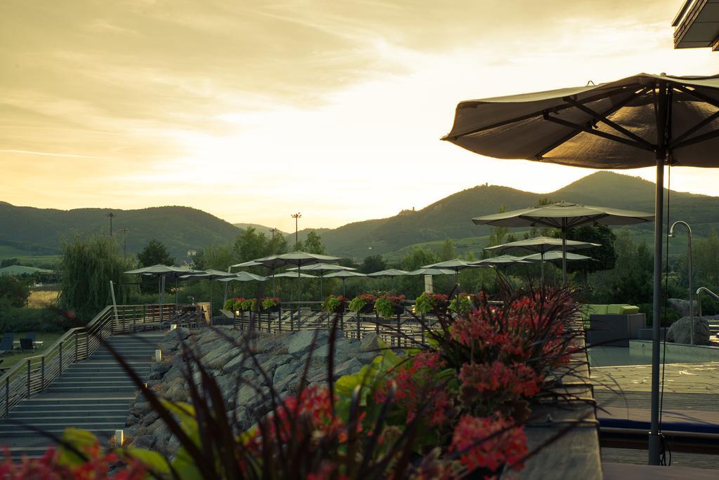 Hotel Barriere Ribeauville المظهر الخارجي الصورة